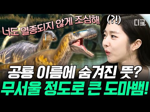 [#벌거벗은세계사] 공룡이 '다이노소어(DINOSAUR)'인 이유?!🦖 공룡 덕후들만 안다는 공룡 이름 속 숨겨진 의미