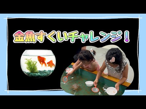 金魚すくいチャレンジ！