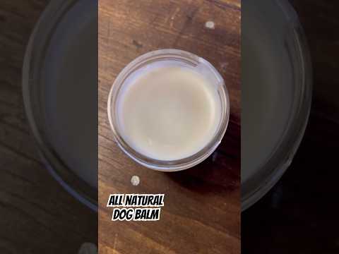 DIY Dog Balm for Dry Skin: Easy 3 Ingredient Recipe | All Natural #shorts #diy