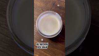 DIY Dog Balm for Dry Skin: Easy 3 Ingredient Recipe | All Natural #shorts #diy