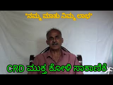 ||CRD ಮುಕ್ತ ಕೋಳಿ ಸಾಕಾಣಿಕೆ || Controlling of CRD in poultry farming||