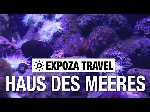 Haus Des Meeres (Austria) Vacation Travel Video Guide