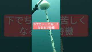 リアルな目線！フリーダイビングトレーニング #タイ #freediving #海