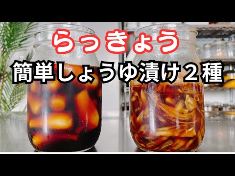 3日で完成！簡単らっきょう醤油漬けの作り方