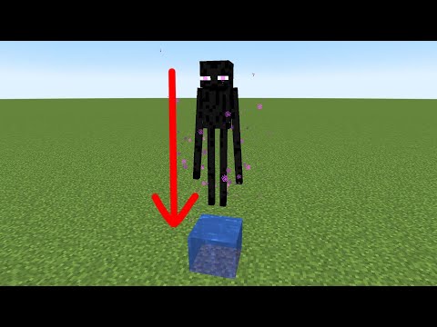 will enderman survive?