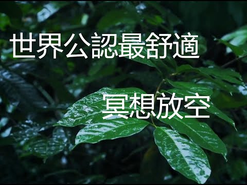 《世界公認極致舒適💯 432Hz 雨聲白噪音 1 小時純享》