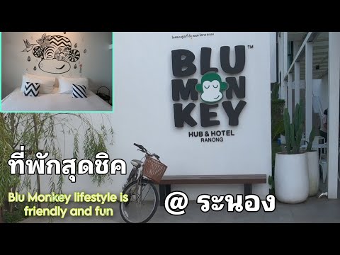 Blu Monkey Hub & Hotel Ranong : ไปพักแล้วชอบ เอามาแชร์ต่อเพื่อนๆ นักเดินทาง