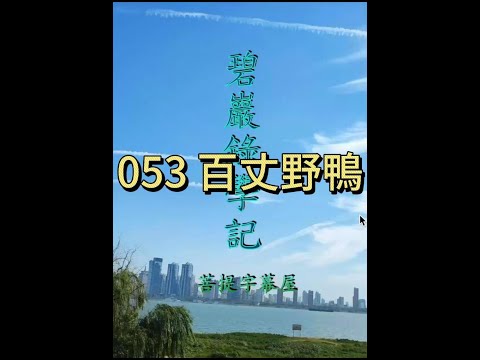 053 百丈野鴨