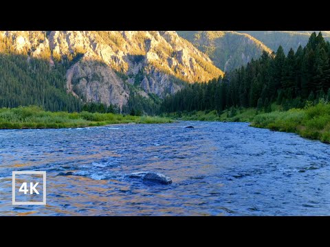 4K Mountain River Sunrise | Forest River Rapids for Sleeping & Relaxing | Water Sounds White Noise