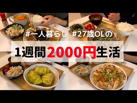 2024年もYouTube頑張ります🌅ロールキャベツ/餃子/とんかつ/砂肝炒め/チヂミ…🤤❤️‍🔥