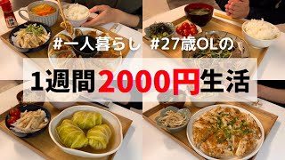 2024年もYouTube頑張ります🌅ロールキャベツ/餃子/とんかつ/砂肝炒め/チヂミ…🤤❤️‍🔥