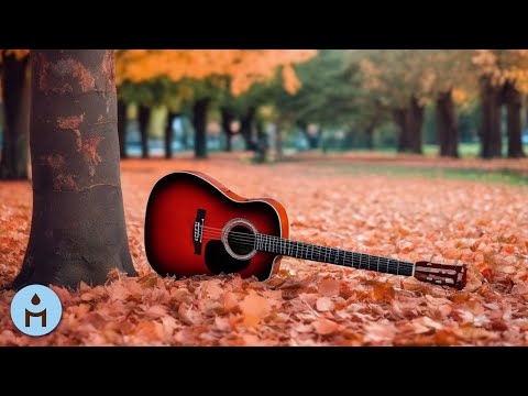 Dreamy Guitar Music ✨ PLAYLIST ✨ Serene Melodies for Tranquil Moments