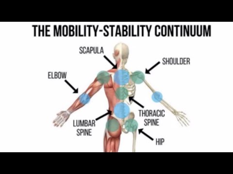 This is the scientific proof of Wing Chun is not functioning.  fix it ! ( Watch with 1.5x speed)