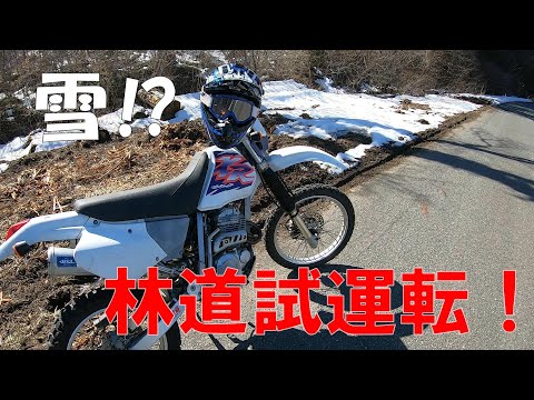 バイクの整備が完了したから試運転してみた！【XR250】