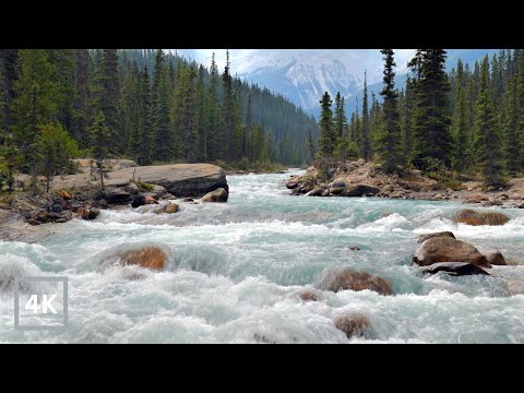 Step Into The Wild: White Noise of a Rushing Mountain River for Deep Relaxation or Sleep in 4K UHD