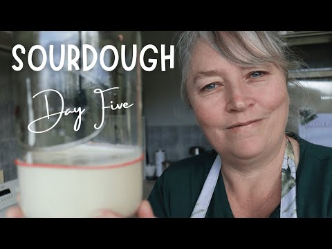 DAY FIVE Sourdough Starter | Let's Make it Together