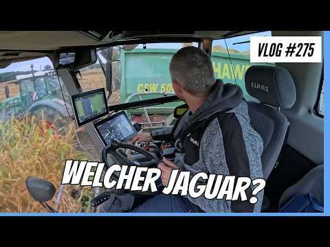 Vlog #275 Maiserte 2024 with a Claas Jaguar XXX