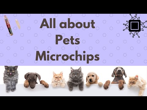 All about Pets Microchips | dog microchip | Benefit | Removal