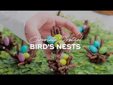 Chocolate Pretzel Bird's Nests