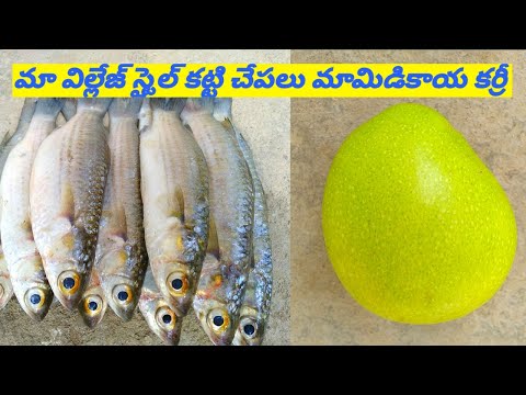 Katti chepalu + mamidikaya (fish+mango) iguru telugu lo tayari vidanam