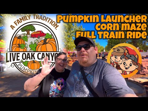 Live Oak Canyon Pumpkin Farm 2023-Full Corn Maze Walk Thru and Train Ride