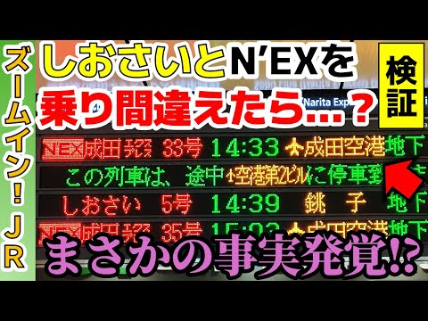 【まさかの事実が!?】6分差のしおさいとN'EXをガチで乗り間違えてみた！