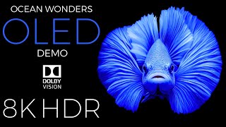 Ocean Wonders OLED Demo HDR 8K Ultra HD Dolby Vision™ 60fps