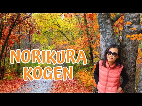 Norikura Kogen's Autumn Wonderland: Exploring Fall Foliage in Zengoro Falls and Great Maple Tree