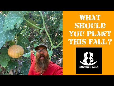 Fall Gardening In Central Texas...Or Wherever