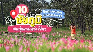 10 ที่เที่ยวชัยภูมิ ชมทุ่งดอกกระเจียว วิวทะเลหมอก สัมผัสธรรมชาติ 2567 | Bugaboo Travel | Ep.96