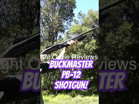 Buckmaster PB-12 Shotgun #ozziereviews #shooting #shotgun #12gauge #firearms #shotgunhandcam #12ga