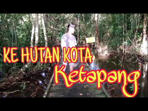 PEV 04. KE HUTAN KOTA KETAPANG