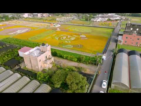 2024 11 25 桃園大溪花彩節空拍全記錄