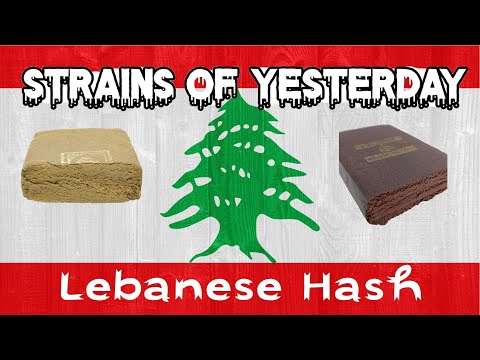 Strains of Yesterday :  Lebanese Hash