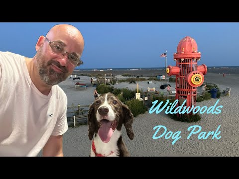 Wildwood Dog Park with Chip