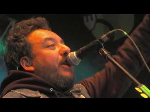 Molotov - Chinga Tu Madre (En Vivo)