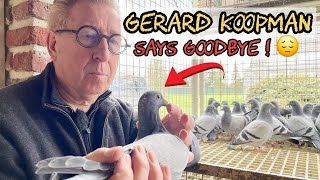 Gerard Koopman’s Historic Pigeon Auction: 623 Racing Champions for Sale!