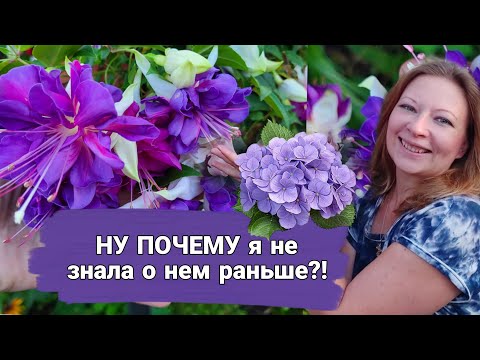 Ну почему я не знала о нем раньше?!