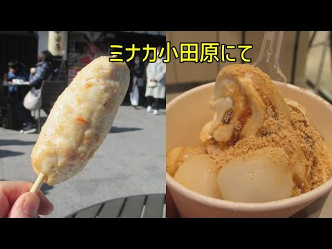 甘さと旨味のハーモニー！ミナカ小田原のカニ棒＆甘糀ソフトクリーム黒蜜きなこ＆白玉を堪能