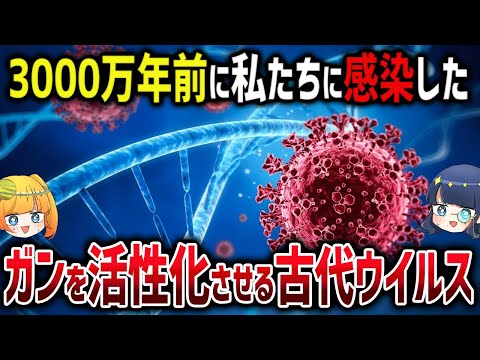 新たに見つかった私たちの中に眠る古代ウイルスの脅威【ゆっくり解説】