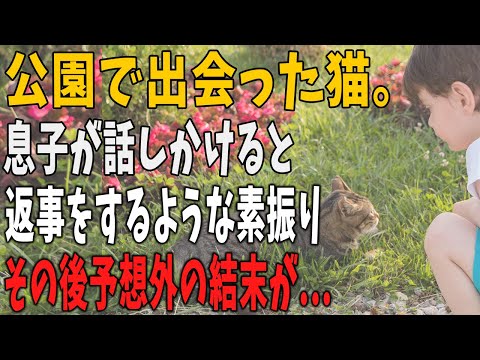 【猫の不思議な話】息子と公園に遊びに行くと一匹の猫がいて、息子が話しかけるとなにやら返事をしているような素振りをした。するとその後、驚きの事実が判明…。「そんなまさか…」【朗読】【猫】【感動】