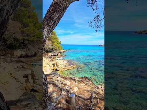 Sa font de sa cala 🩵 Cala Ratjada 🩵 Mallorca 🏝  #majorca #mallorca #paradise #mallorcalove