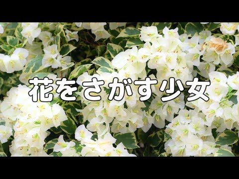 【合唱曲】花をさがす少女 / 歌詞付き【175/200】