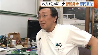 新潟県に“ヘルパンギーナ”警報　高熱・のどの赤み…小児科医「感染しても焦らないで！」 (23/07/06 18:51)