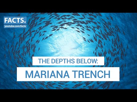 The Depths Below: Mariana Trench