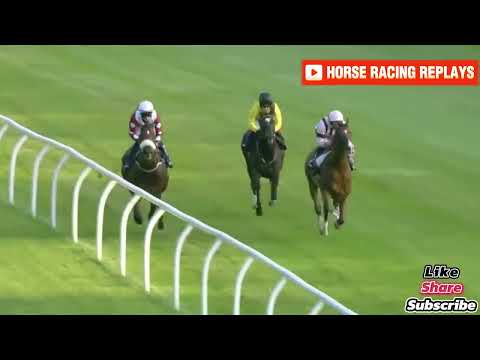 Harvard Sound / 4 Race Lingfield 30 Jul 2024