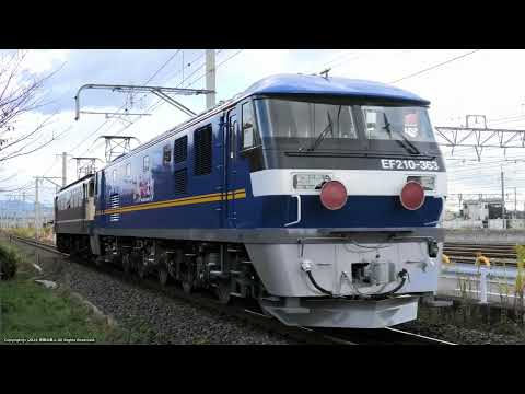 増備再開！EF210 363号機甲種輸送の撮影です。吹田タからはEF65 2088号機が牽引（R6.11.28）