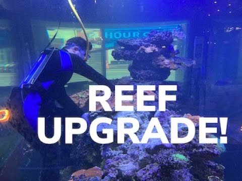 Upgrading a nearly 10 year old, 8,000 gallon reef | Episode 221