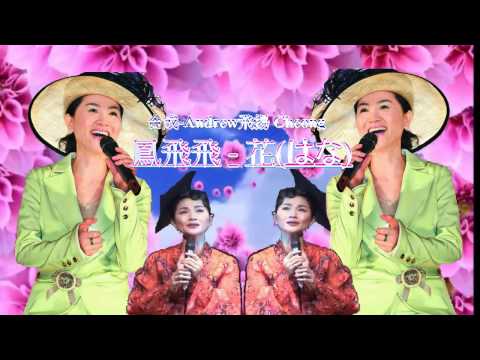 鳳飛飛-花(はな)新合成-音量加強版