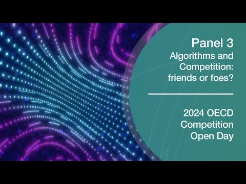 2024 OECD Competition Open Day – Panel 3. Algorithms and Competition: friends or foes?